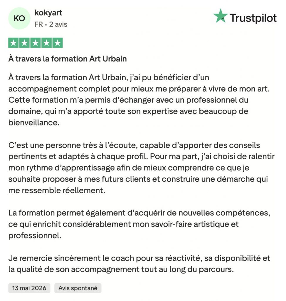 Avis-formation-art-urbain-graffiti-cours